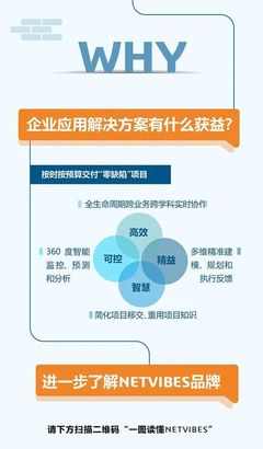 一圖讀懂NETVIBES 重資產(chǎn)項(xiàng)目數(shù)據(jù)智能與企業(yè)技術(shù)咨詢服務(wù)